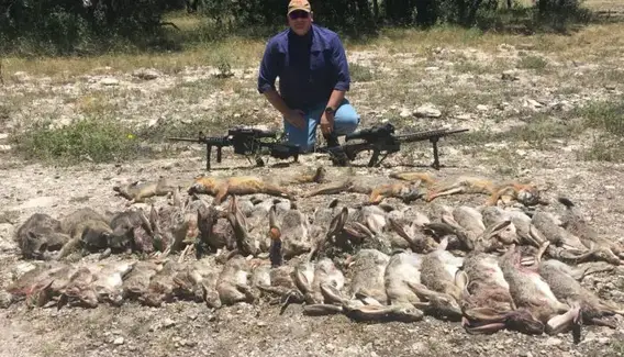 Coyote Hunting Texas 
