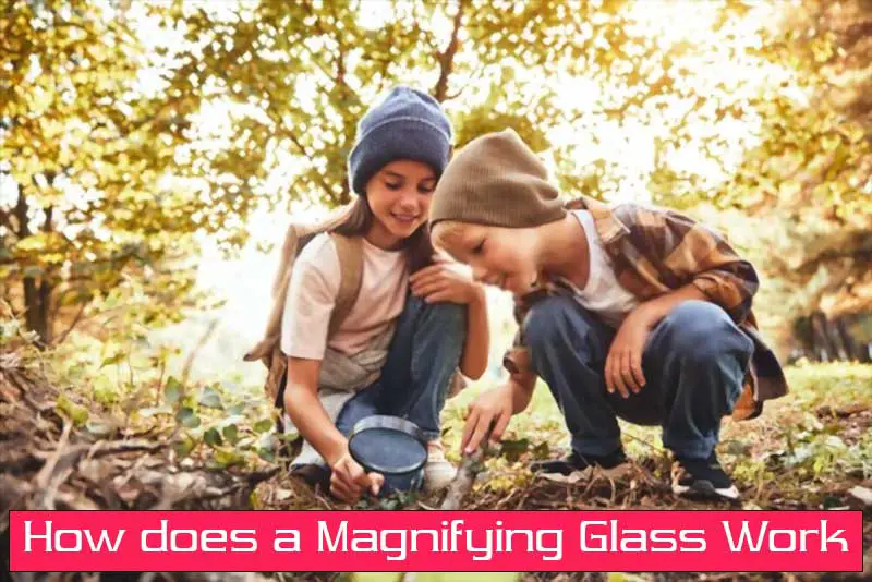 How does a Magnifying Glass Work?