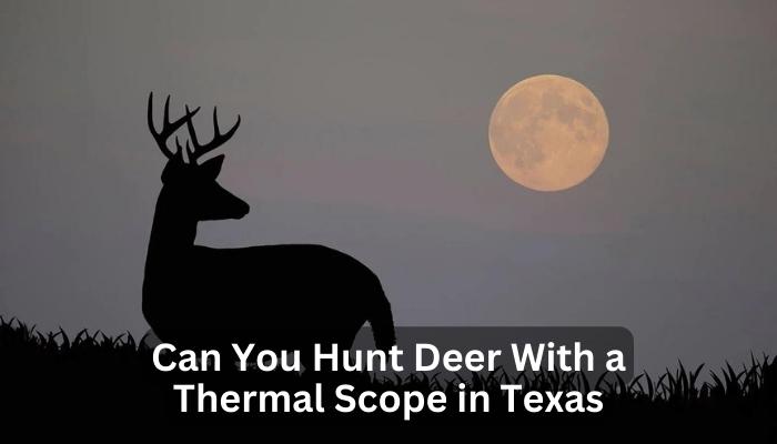 Can You Hunt Deer With a Thermal Scope in Texas
