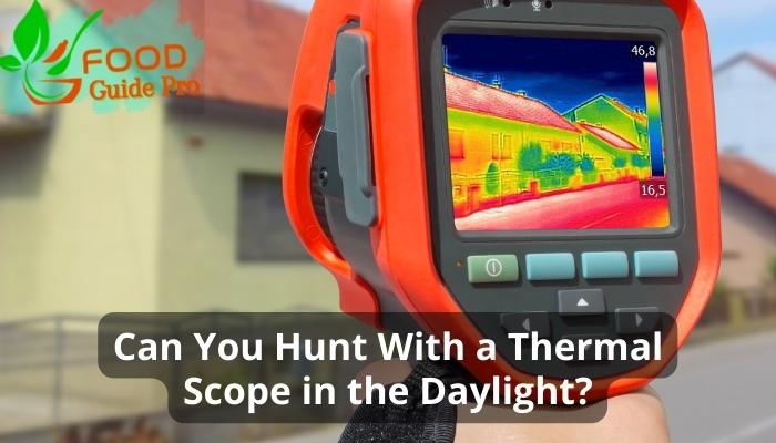 Can You Hunt With a Thermal Scope in the Daylight?
