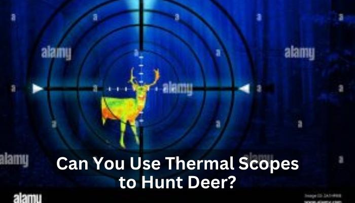 Can You Use Thermal Scopes to Hunt Deer?