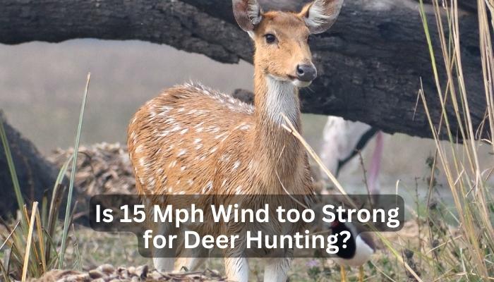 Is 15 Mph Wind too Strong for Deer Hunting?