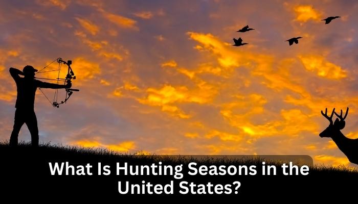 What Is Hunting Seasons in the United States?