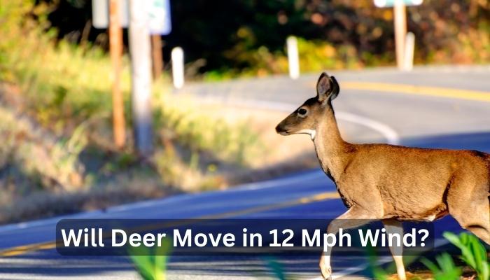 Will Deer Move in 12 Mph Wind?