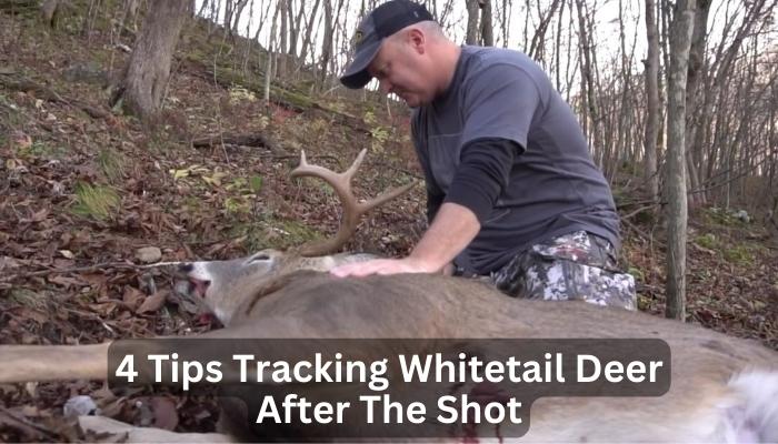 4 Tips Tracking Whitetail Deer After The Shot
