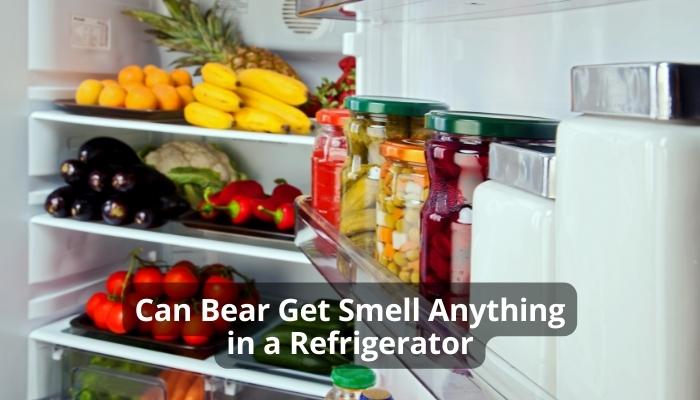 Can Bear Get Smell Anything in a Refrigerator