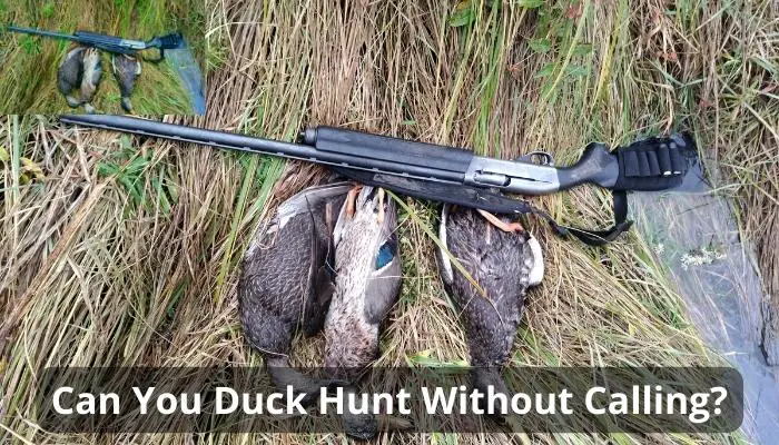 Can You Duck Hunt Without Calling?