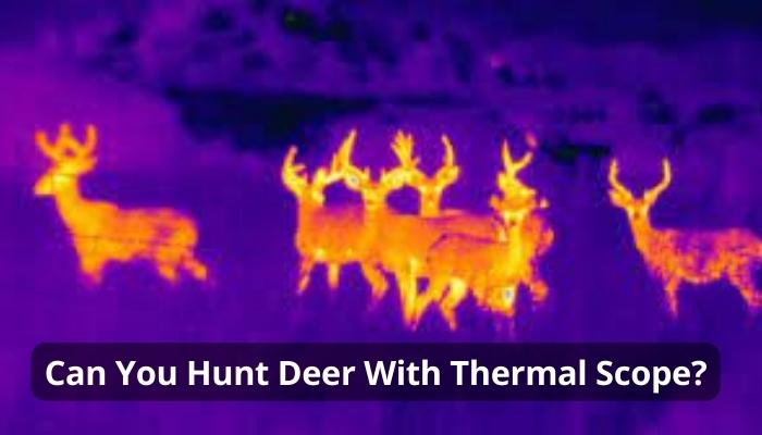 Can You Hunt Deer With Thermal Scope?
