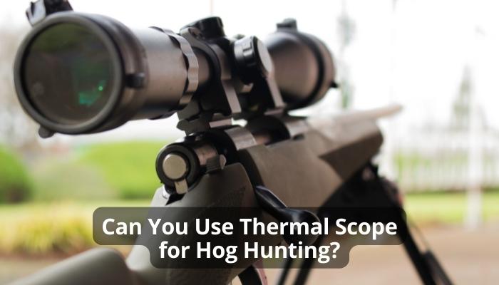 Can You Use Thermal Scope for Hog Hunting?