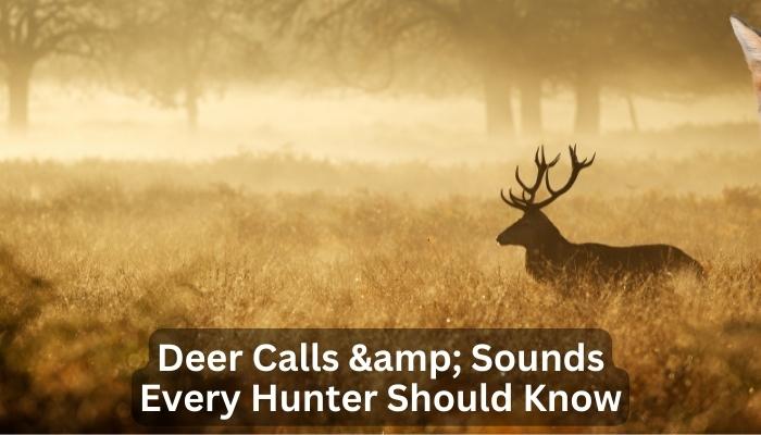 Deer Calls