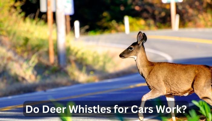 Do Deer Whistles for Cars Work?