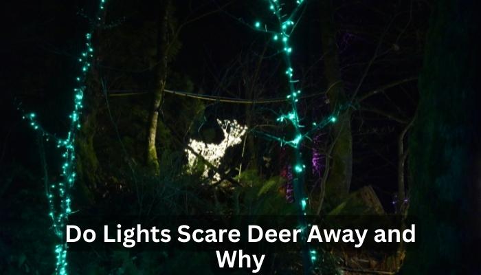 Do Lights Scare Deer Away and Why