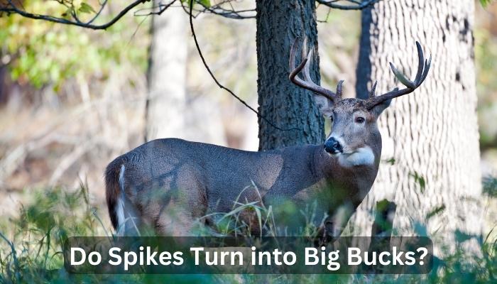 Do Spikes Turn into Big Bucks?