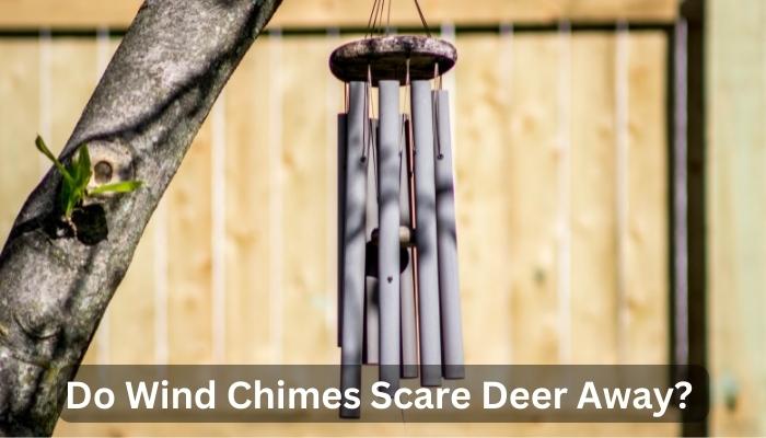 Do Wind Chimes Scare Deer Away?