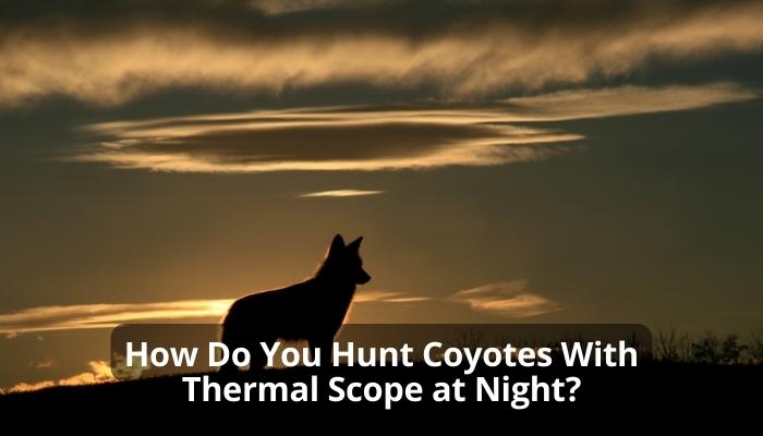 How Do You Hunt Coyotes With Thermal Scope at Night?