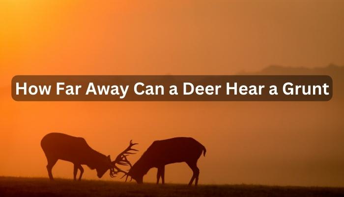 How Far Away Can a Deer Hear a Grunt