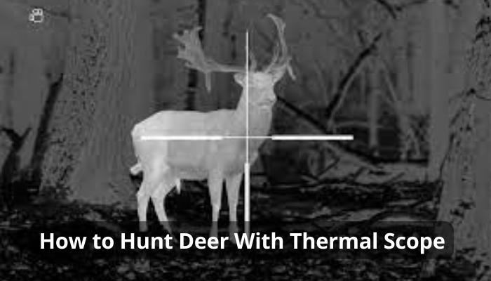 How to Hunt Deer With Thermal Scope