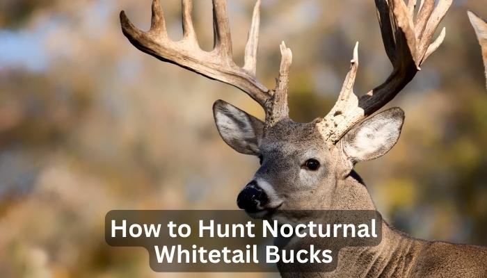 How to Hunt Nocturnal Whitetail Bucks