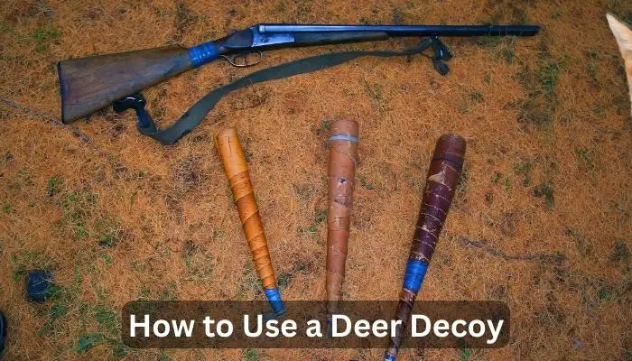 How to Use a Deer Decoy
