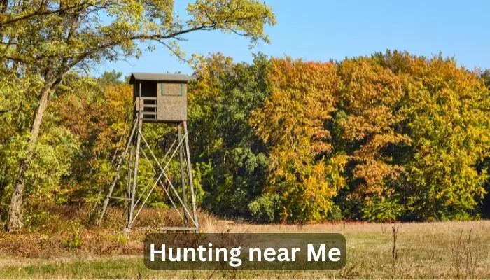 Hunting near Me