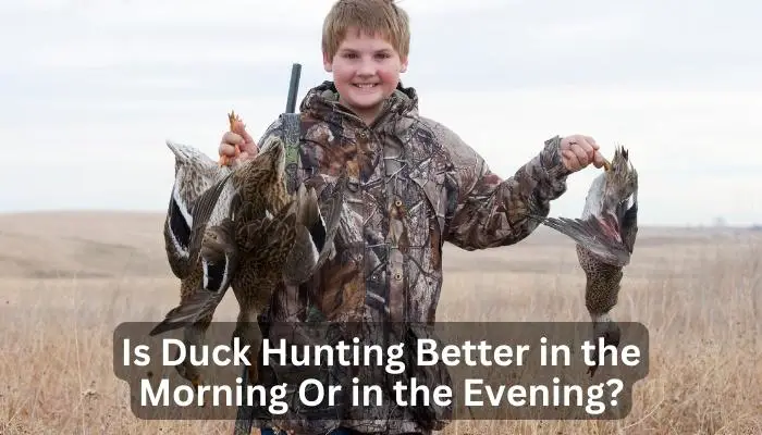 Is Duck Hunting Better in the Morning Or in the Evening?