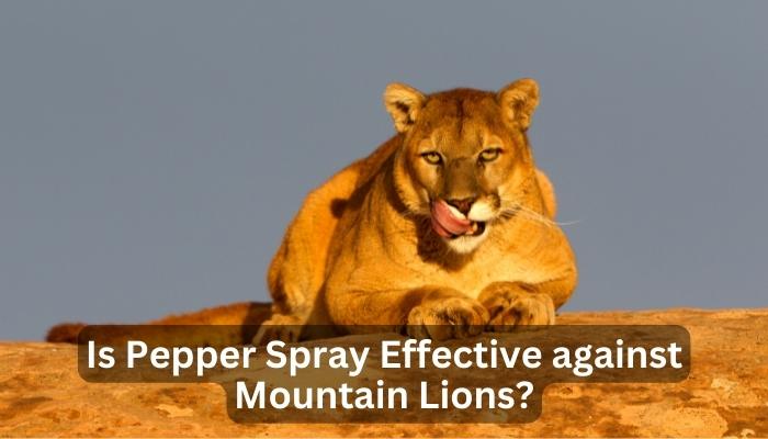 Is Pepper Spray Effective against Mountain Lions?