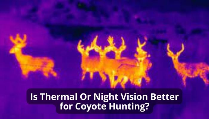 Is Thermal Or Night Vision Better for Coyote Hunting?