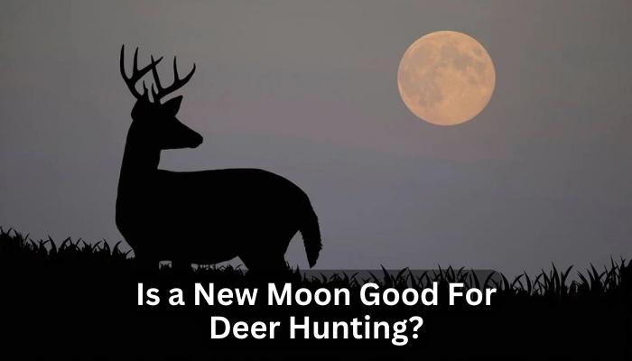 Is a New Moon Good For Deer Hunting?