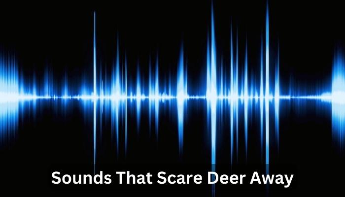 Sounds That Scare Deer Away