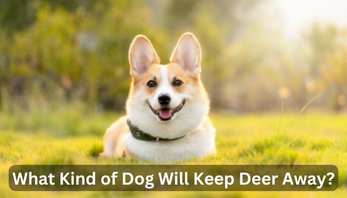 What Kind of Dog Will Keep Deer Away?