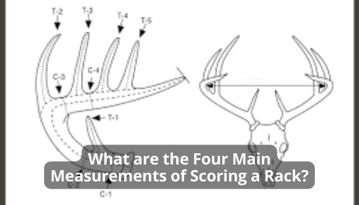 What are the Four Main Measurements of Scoring a Rack?