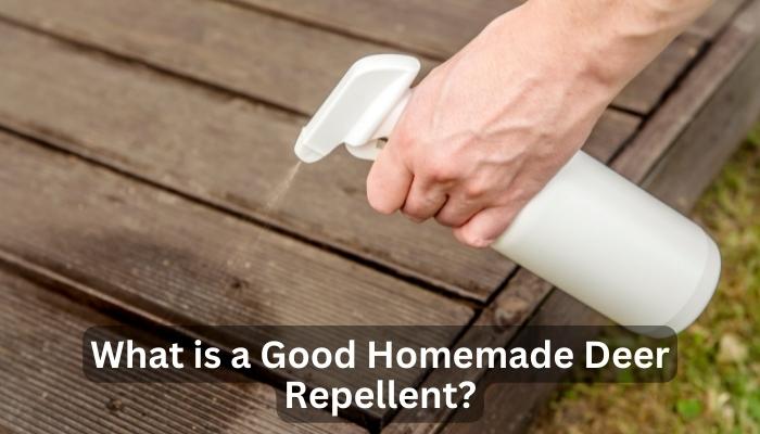 What is a Good Homemade Deer Repellent?