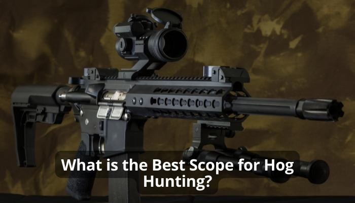What is the Best Scope for Hog Hunting?