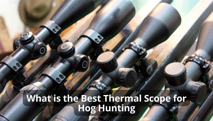 What is the Best Thermal Scope for Hog Hunting