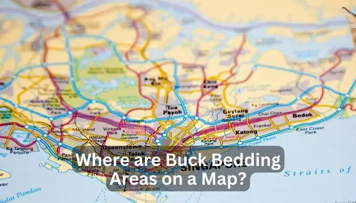 Where are Buck Bedding Areas on a Map?