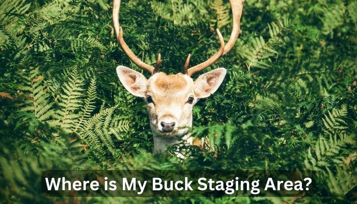 Where is My Buck Staging Area?