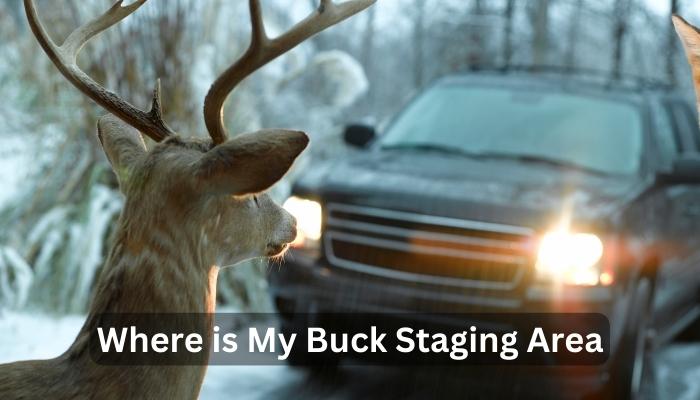 Where is My Buck Staging Area