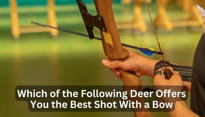 Which of the Following Deer Offers You the Best Shot With a Bow