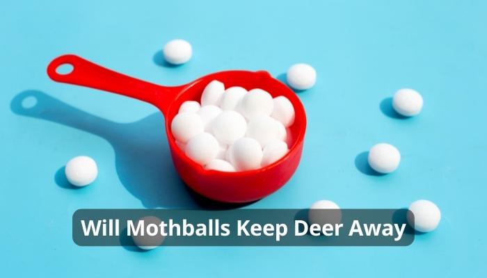 Will Mothballs Keep Deer Away