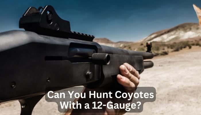 Can You Hunt Coyotes With a 12-Gauge