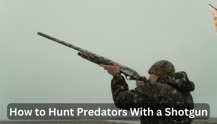 A Quick Tips on How to Hunt Predators With a Shotgun