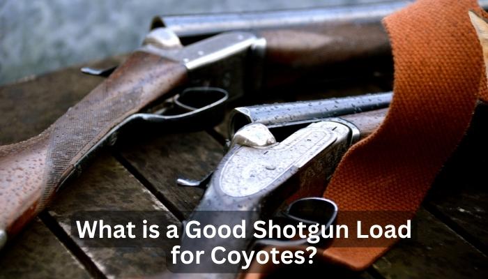What is a Good Shotgun Load for Coyotes?