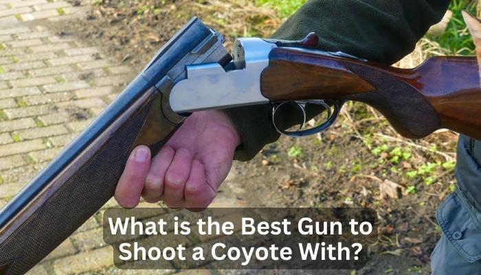What is the Best Gun to Shoot a Coyote With?