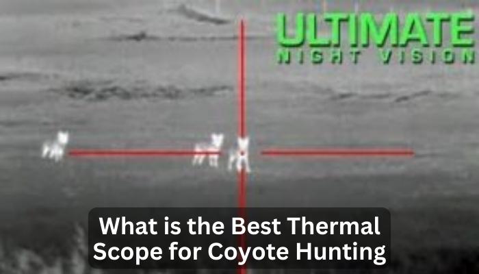What is the Best Thermal Scope for Coyote Hunting