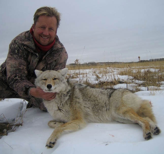 Coyote Hunting Alberta
