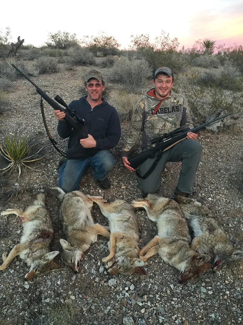 Coyote Hunting Arizona
