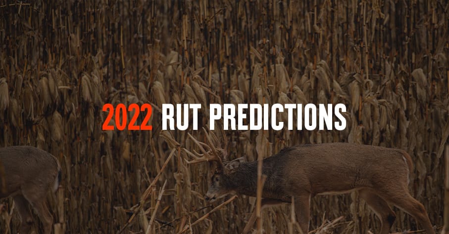 What is the Rut Prediction for 2023?