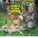 Maximizing Your Deer Hunting Success: Proven Strategies
