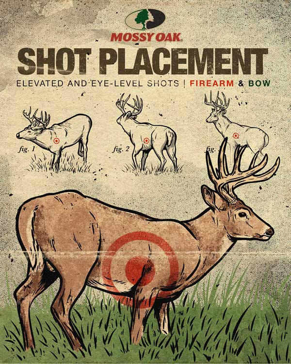 Where Do You Aim above a Deer? Hunting Tips to Perfect Your Shot.