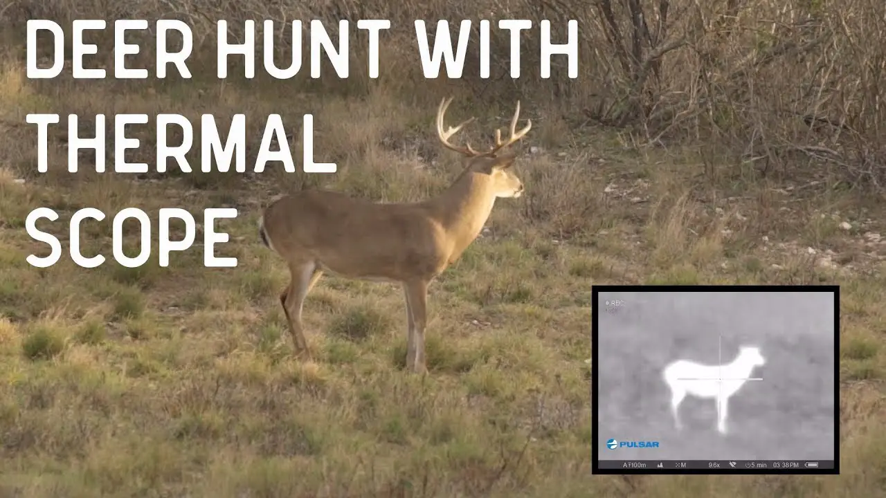 Can You Hunt Michigan Deer with Thermal Scopes?